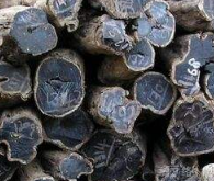 木制刀叉勺厂家介绍一下木材百科—毛药乌木